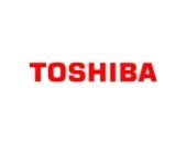 Climaticien Toshiba